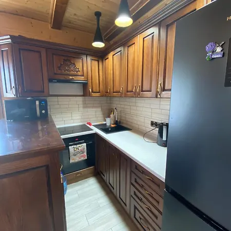 Tomashchuk 公寓 沃罗赫塔