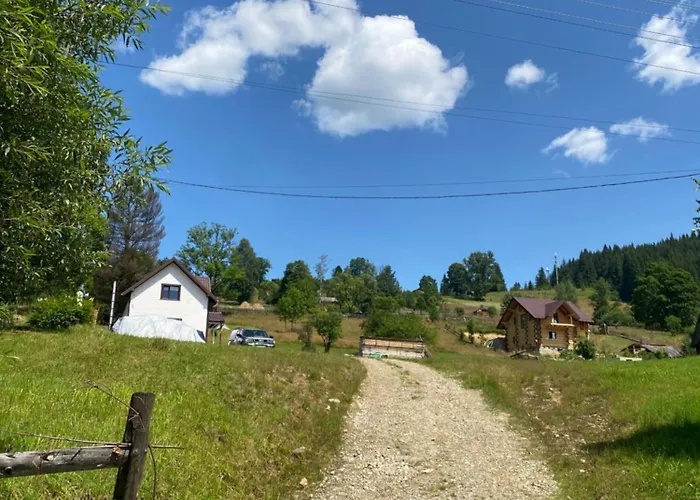 Tomashchuk Daire *